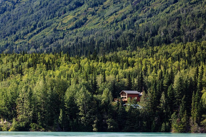 House in the middle of forest 