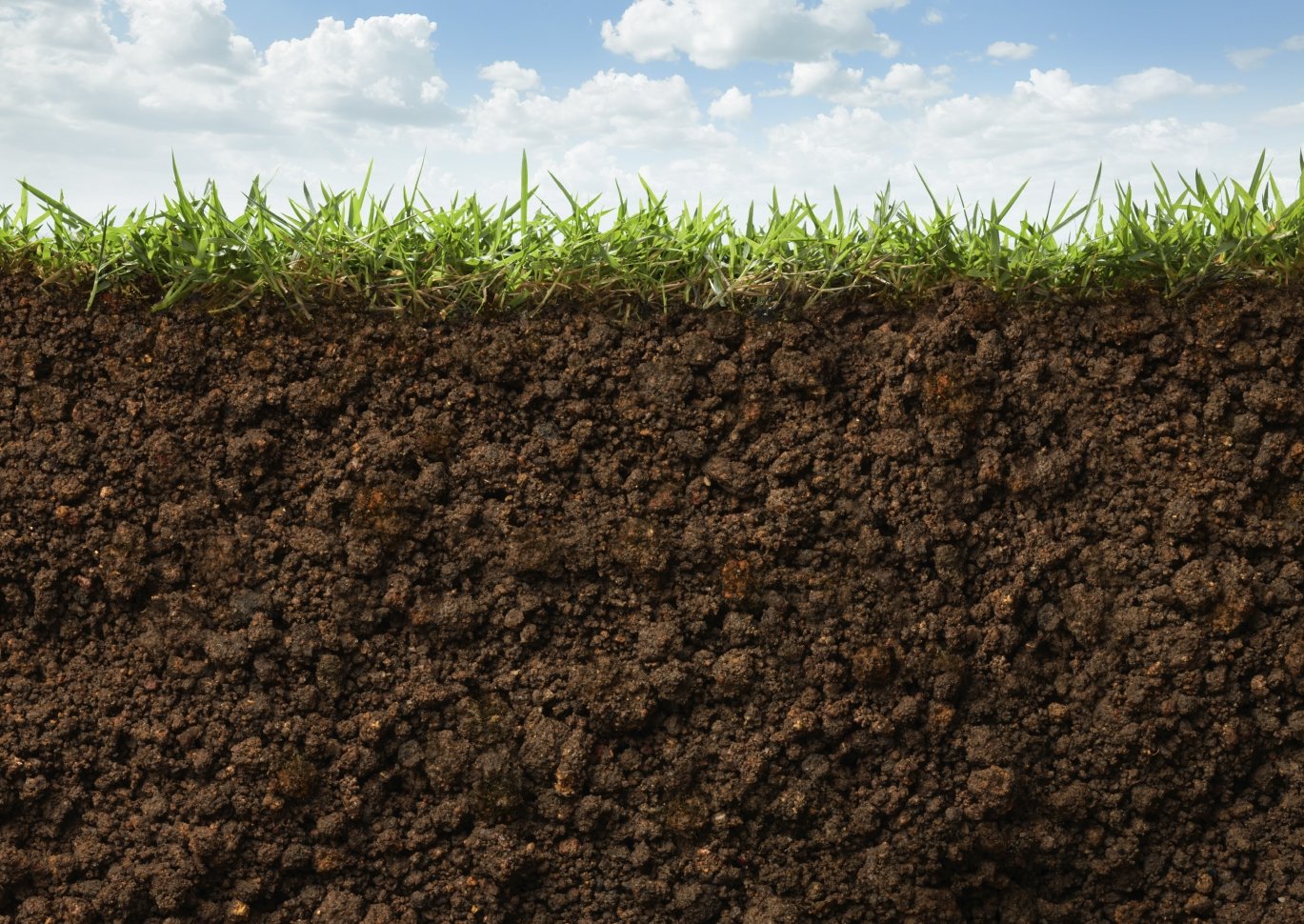 Cross section of grass and soil against blue sky - Adams Gas